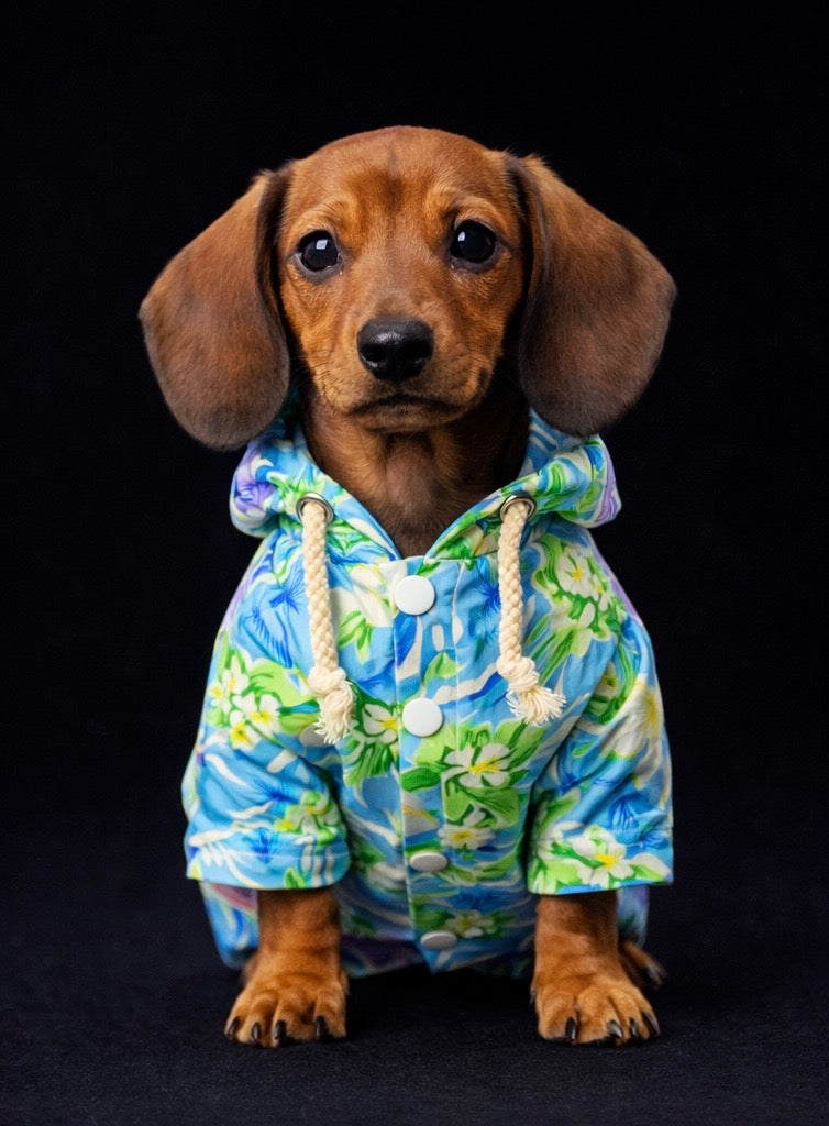 Pupreme Tropical Collection-8