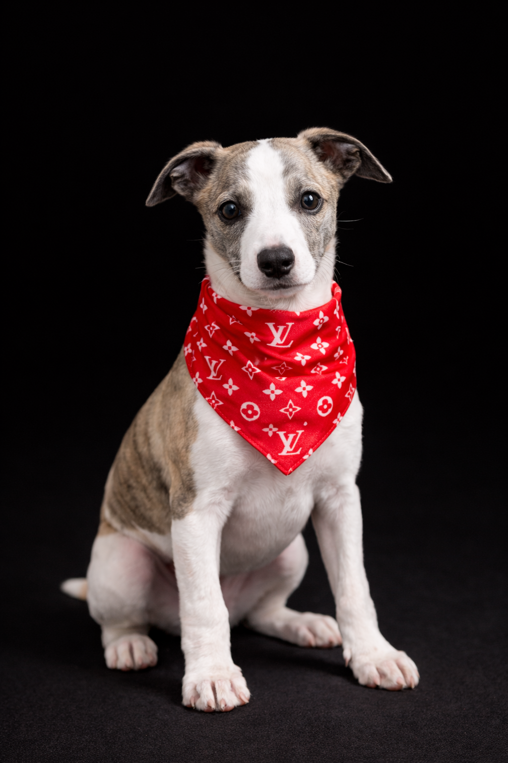 Paris - Monogram Bandana-2