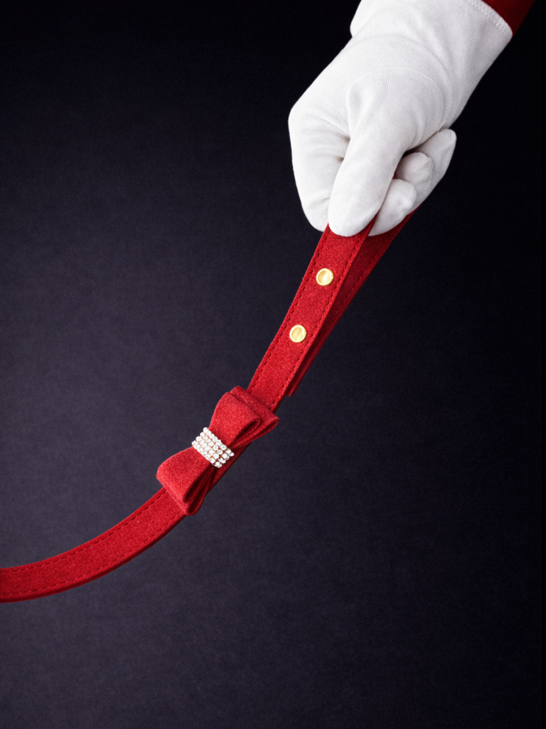 Hayworth Crystal Handle Leash-6