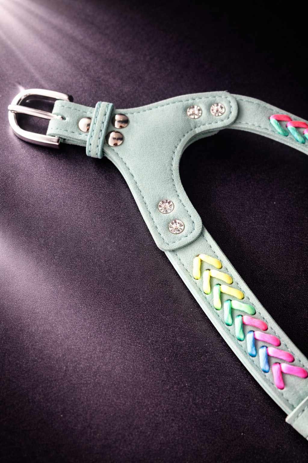 Elton Harness + Leash Set-4