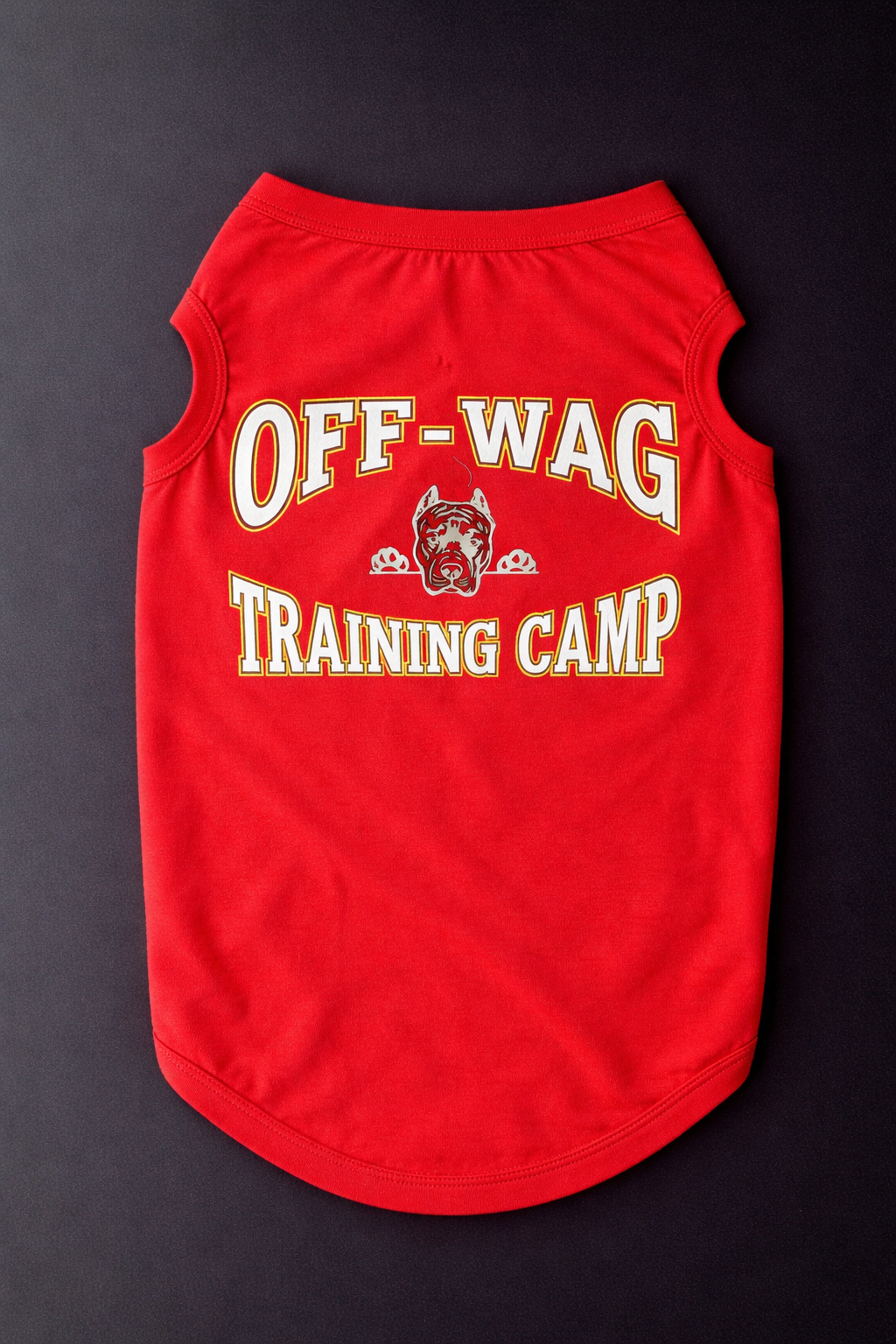 Off-Wag Training Camp Twin Set-3