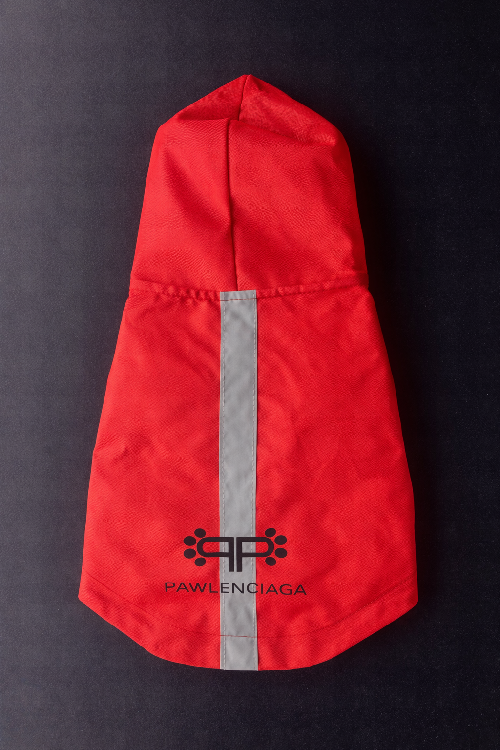 Pawlenciaga Rain Coat-2