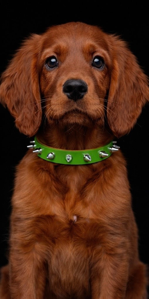 Helmsley Collar