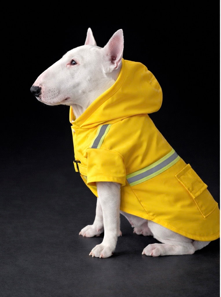 Lux Pup Raincoat-5