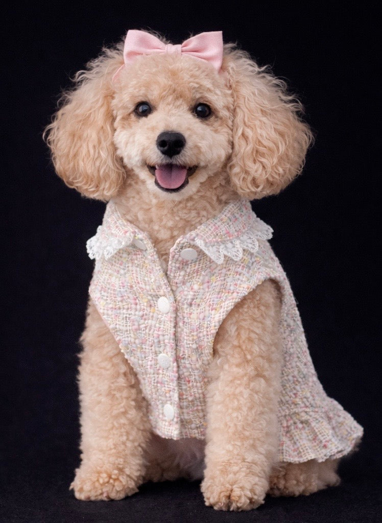 Diana Tweed Dress-8