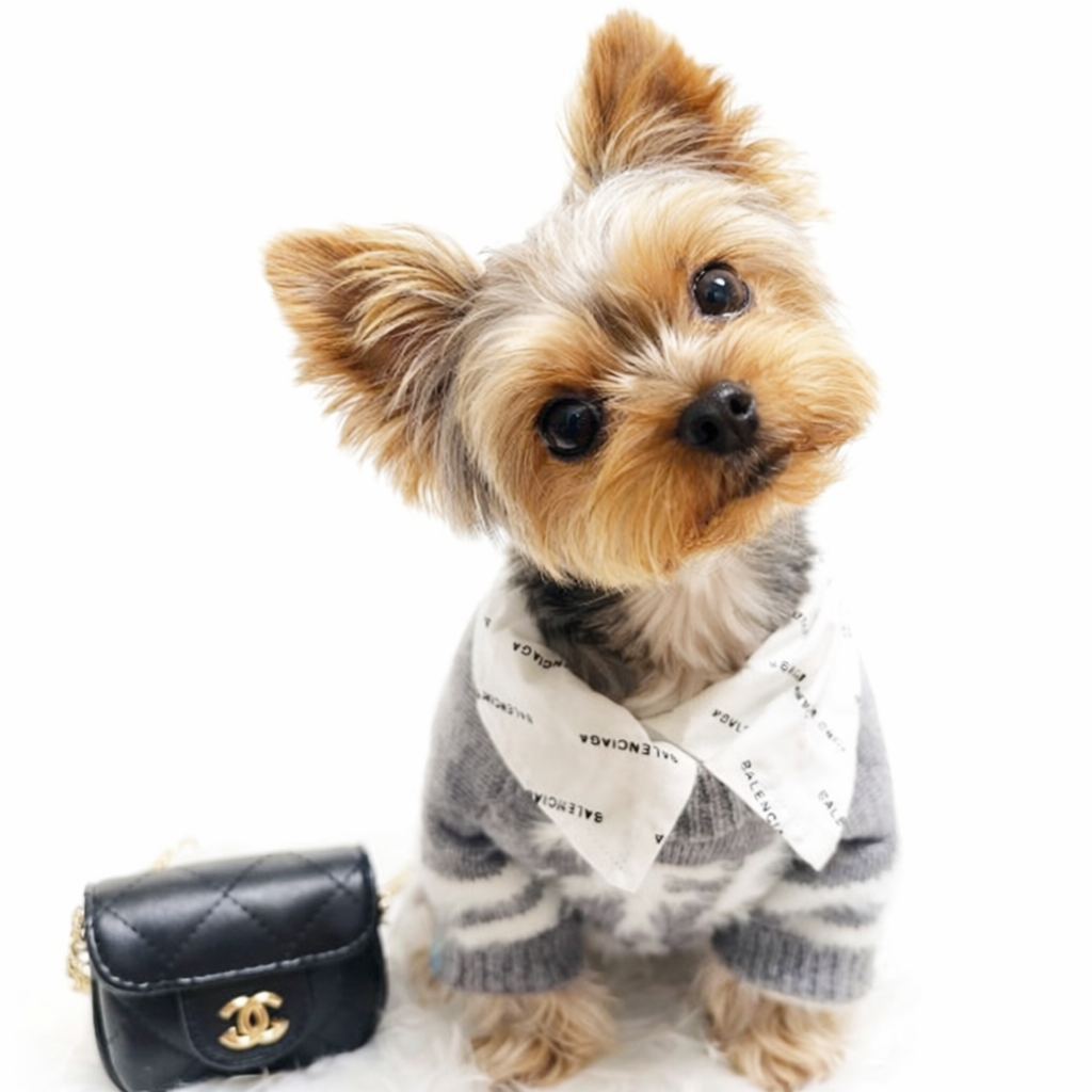 Paris - Little Black Bag-2