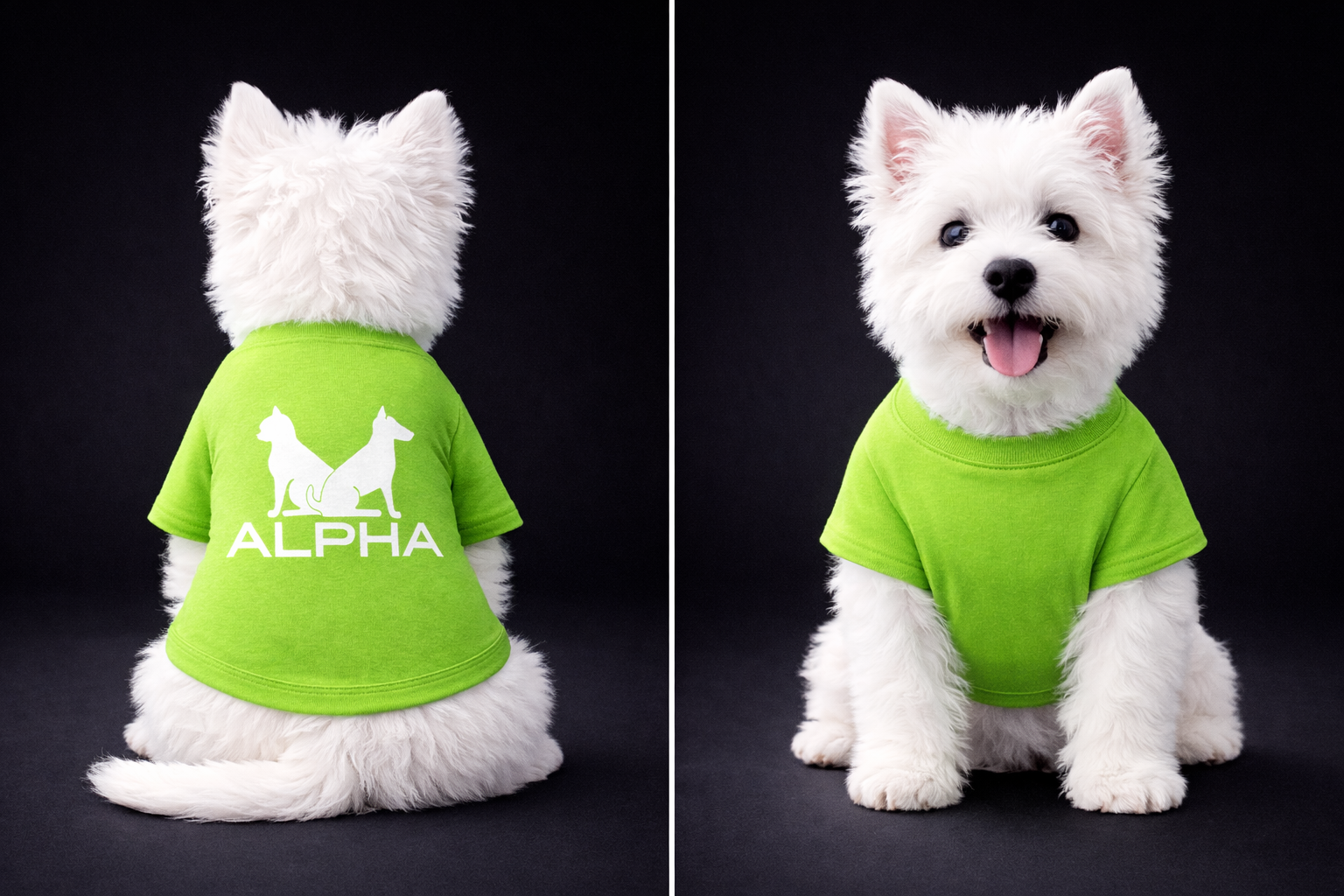 Alpha Dog Twin Set-10