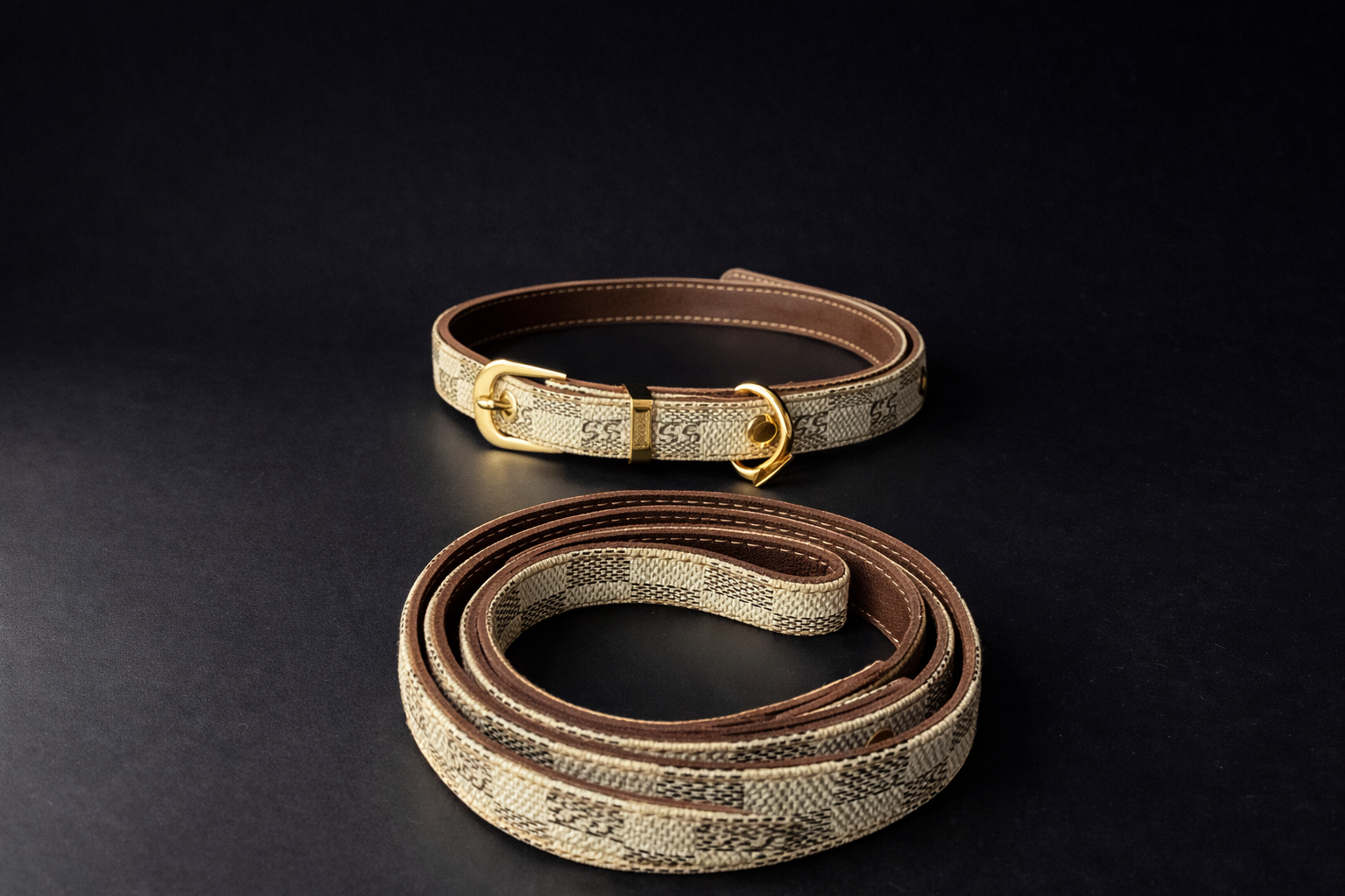 Paris - Leash + Collar