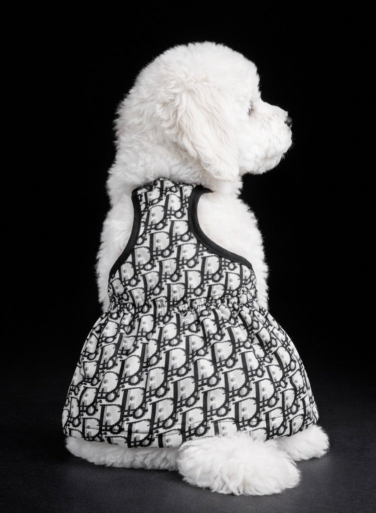 Paris - Bardot Dress