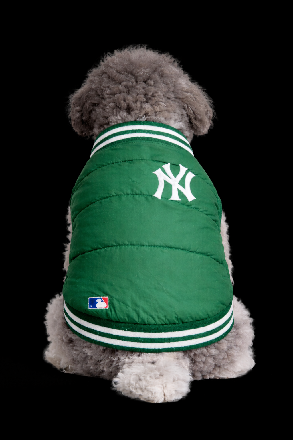 New York Yankees Puffer-5