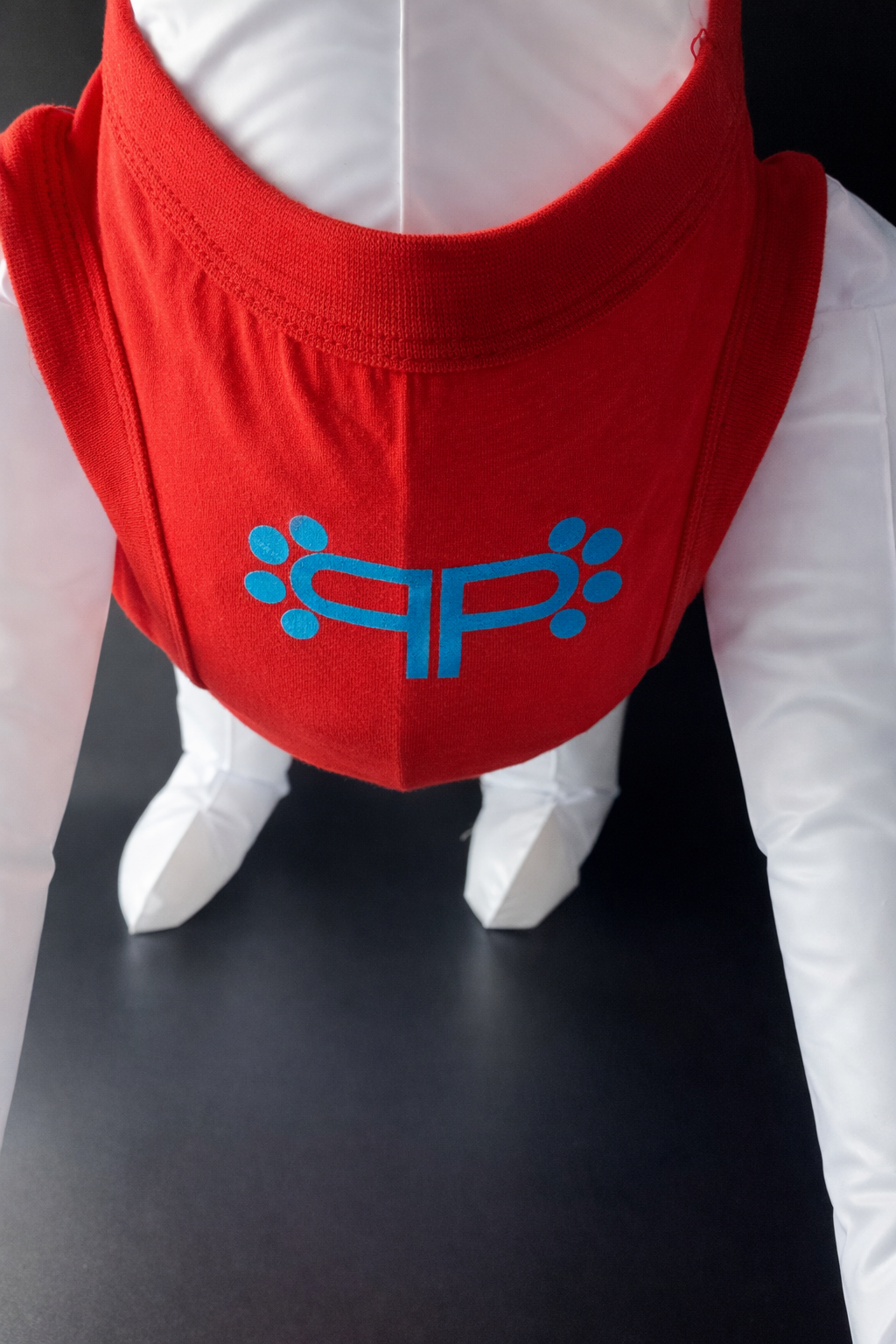 Pawlenciaga Tank Top-3
