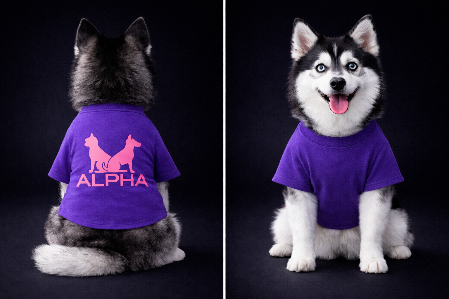 Alpha Dog Twin Set-7