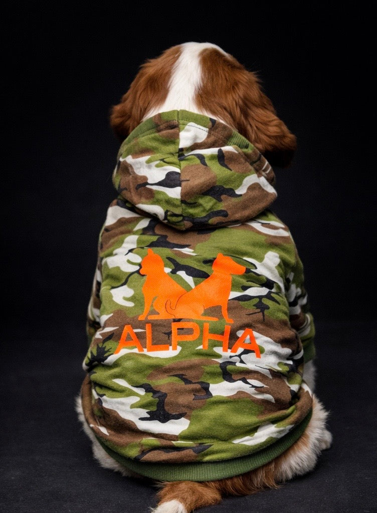 Alpha Camo Hoodie-5