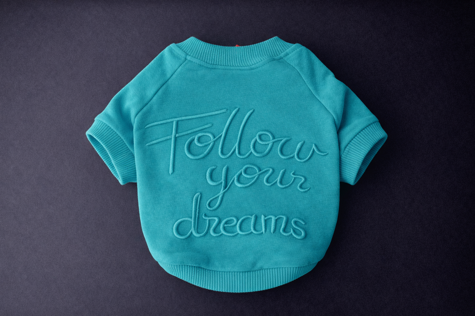 Follow Your Dreams Human + Dog Sweater-3