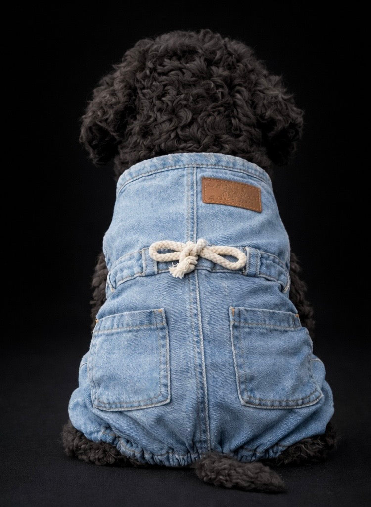 Lily Denim Jumpsuit