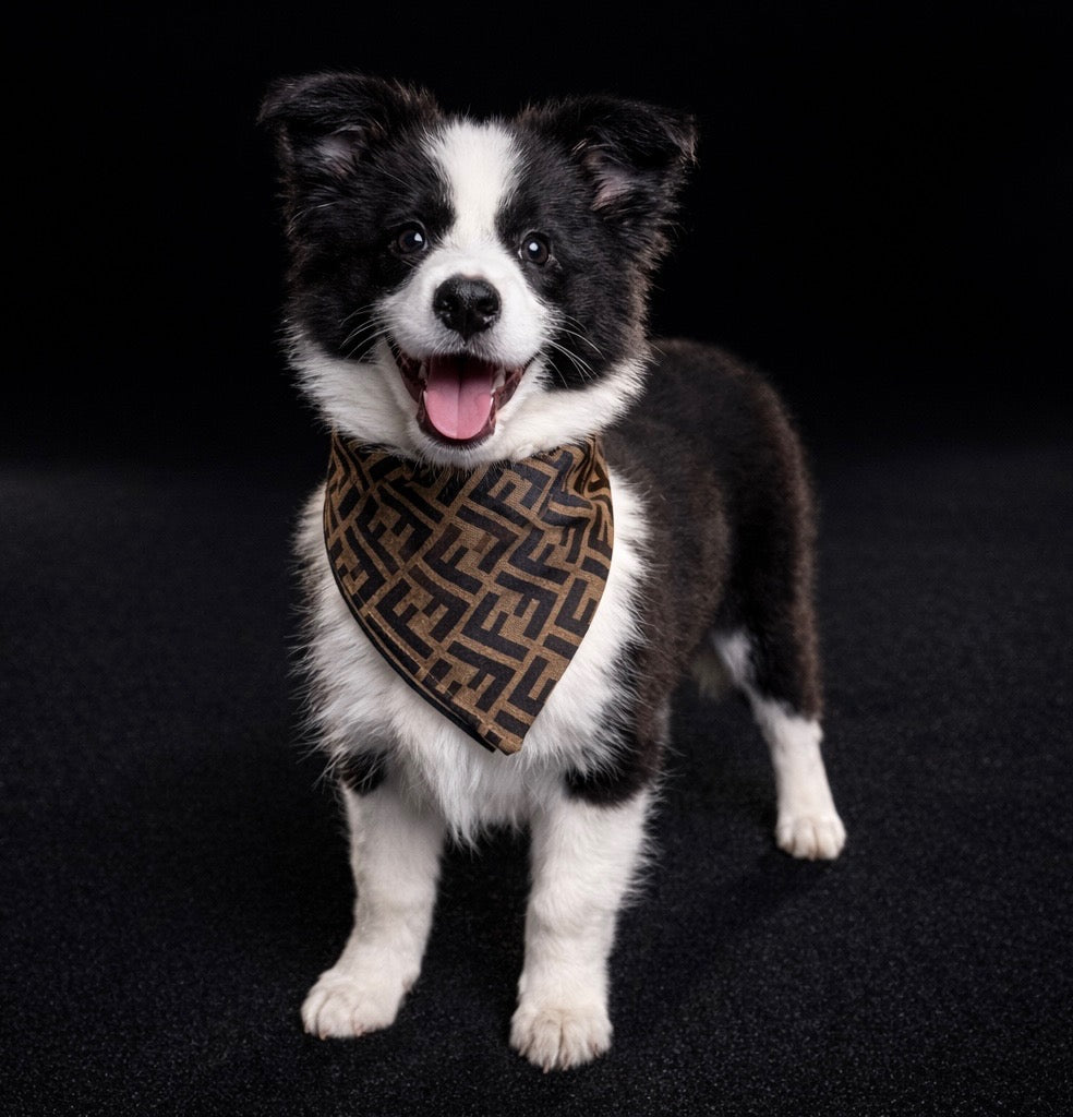 Rome - Monogram Bandana-3