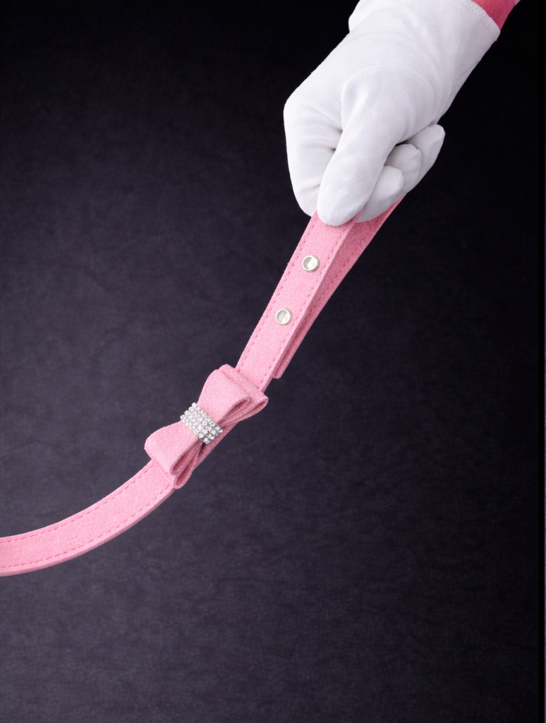Hayworth Crystal Handle Leash-3