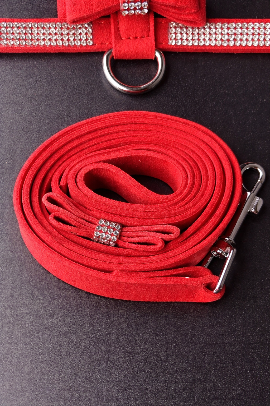 Hayworth Harness + Leash-4