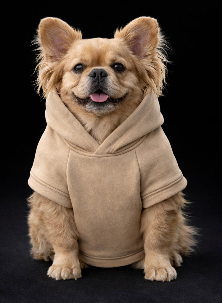Beverly Hills Hoodie-2