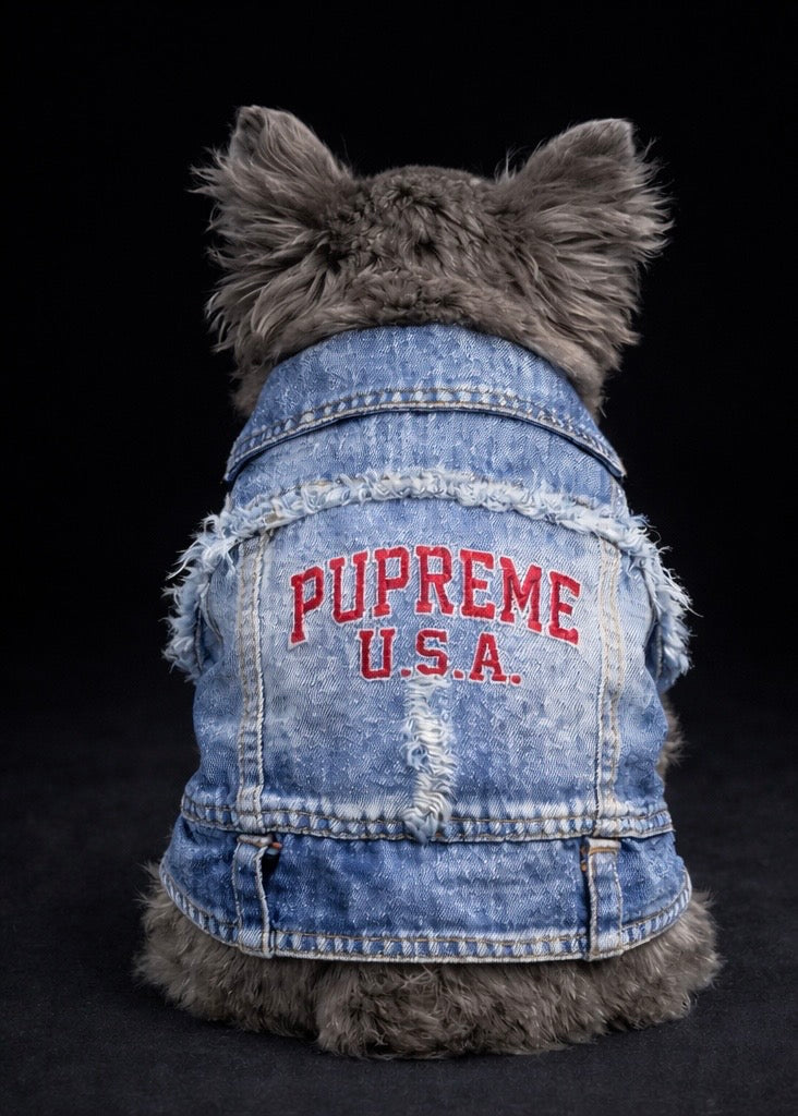 Pupreme Denim Vest-5