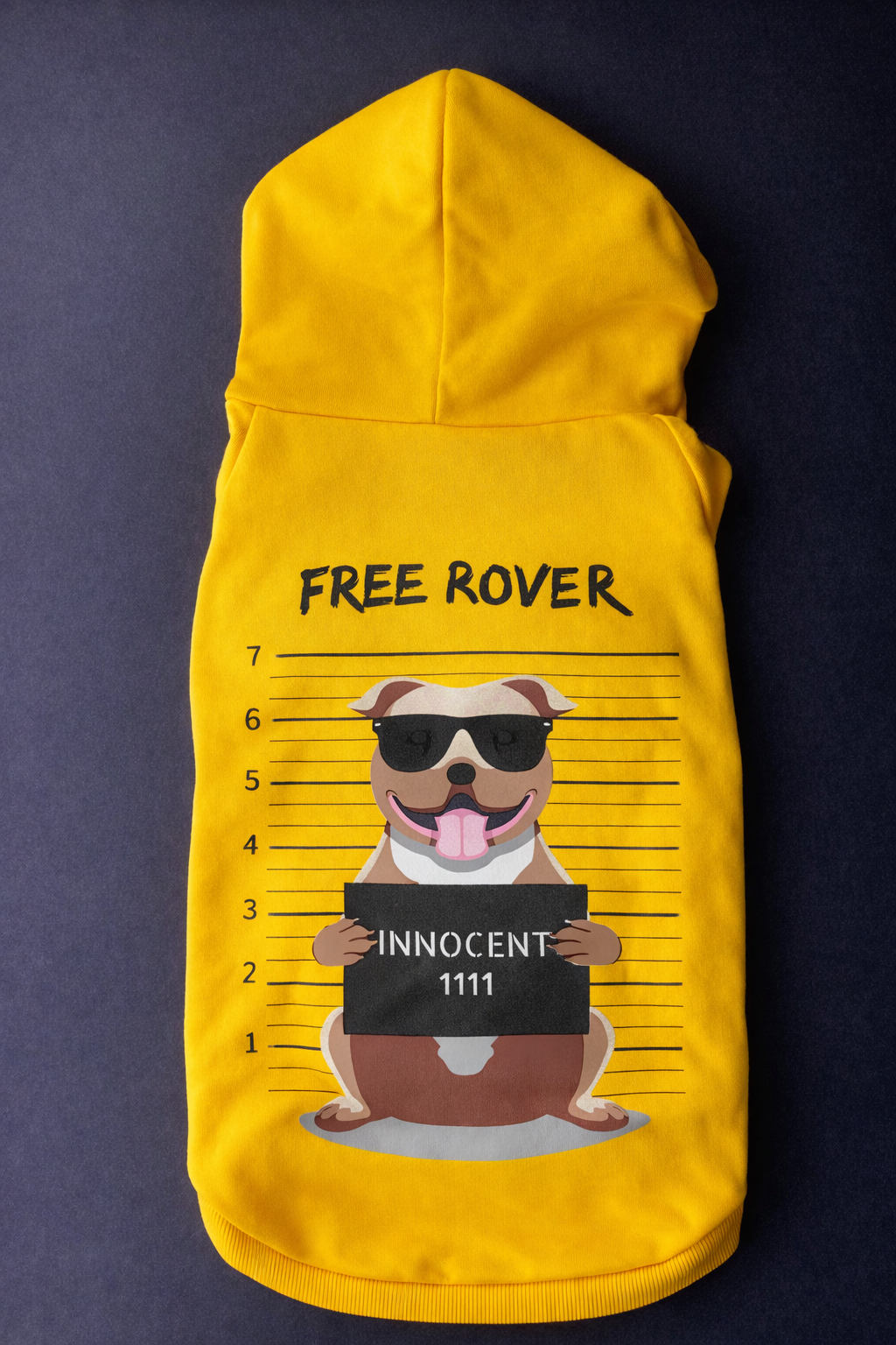 Free Rover Hoodie-5