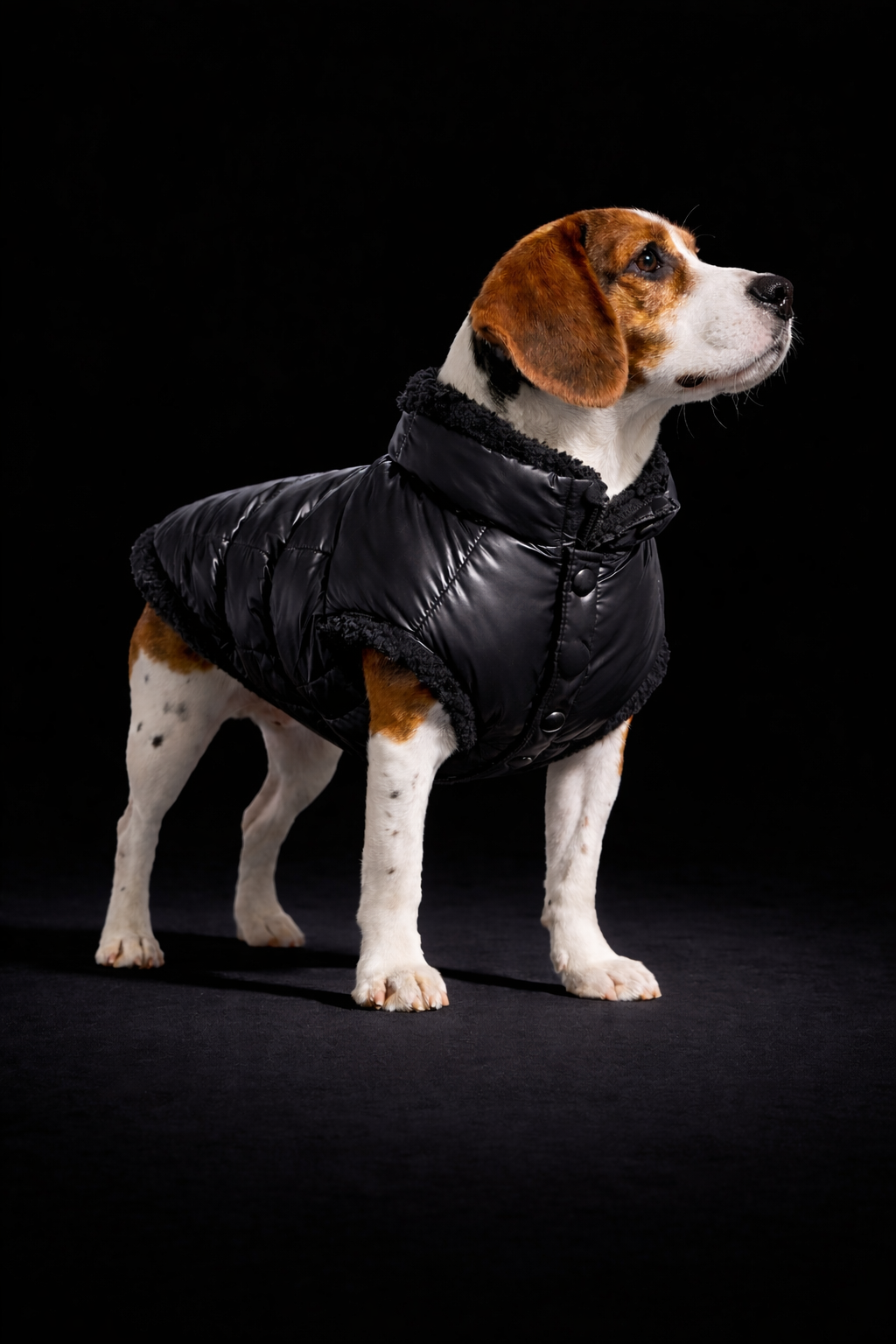 Bonecler Puffer-2
