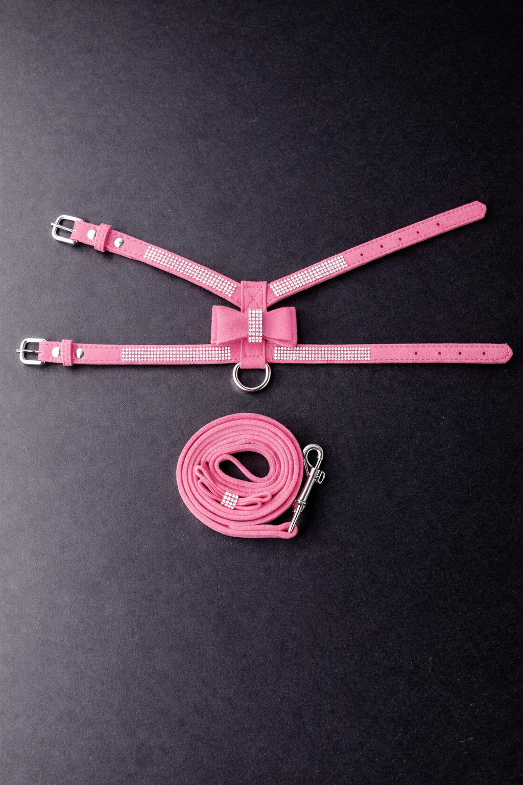 Hayworth Harness + Leash-9