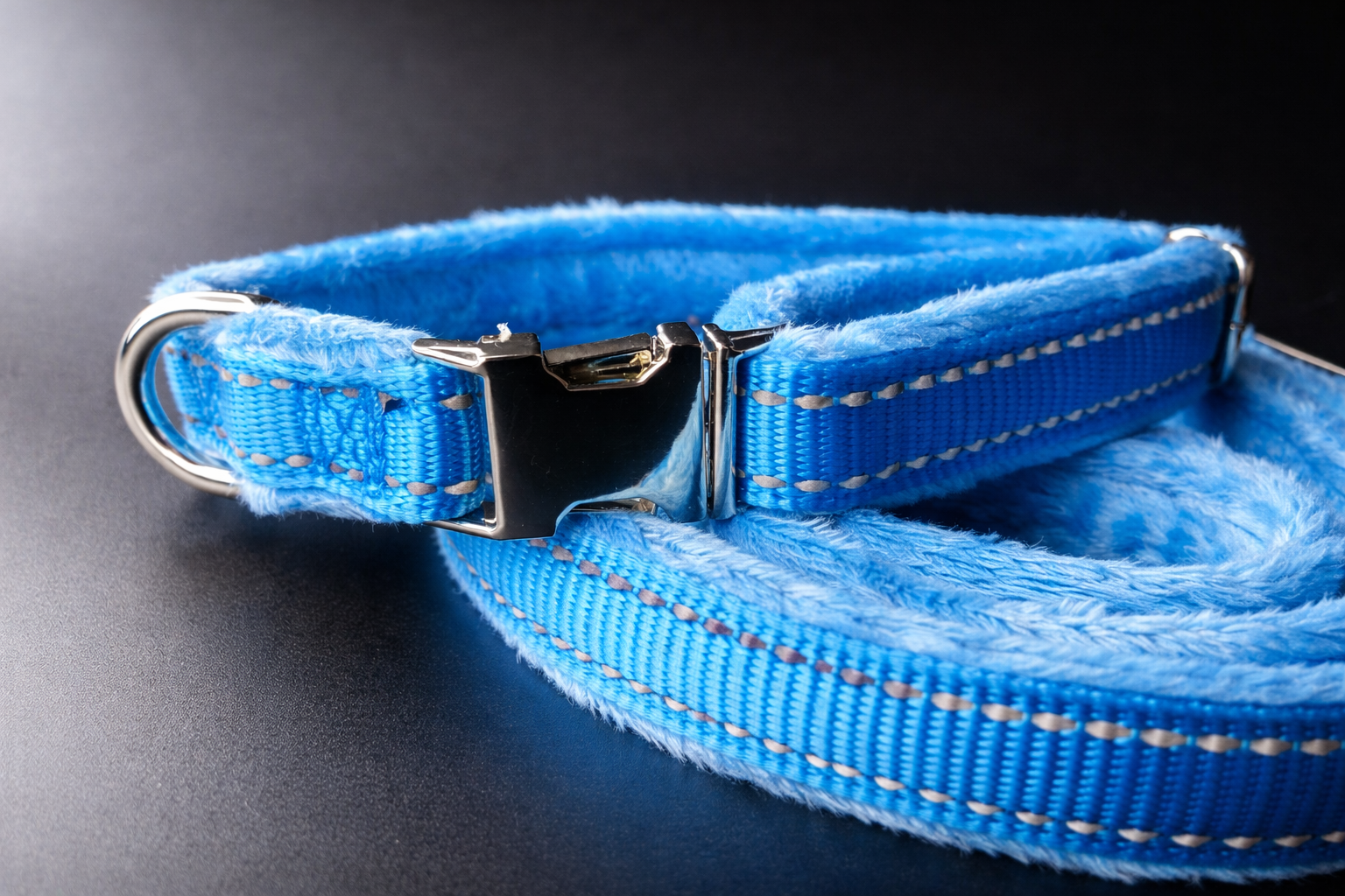 Lauper Collar + Leash-7