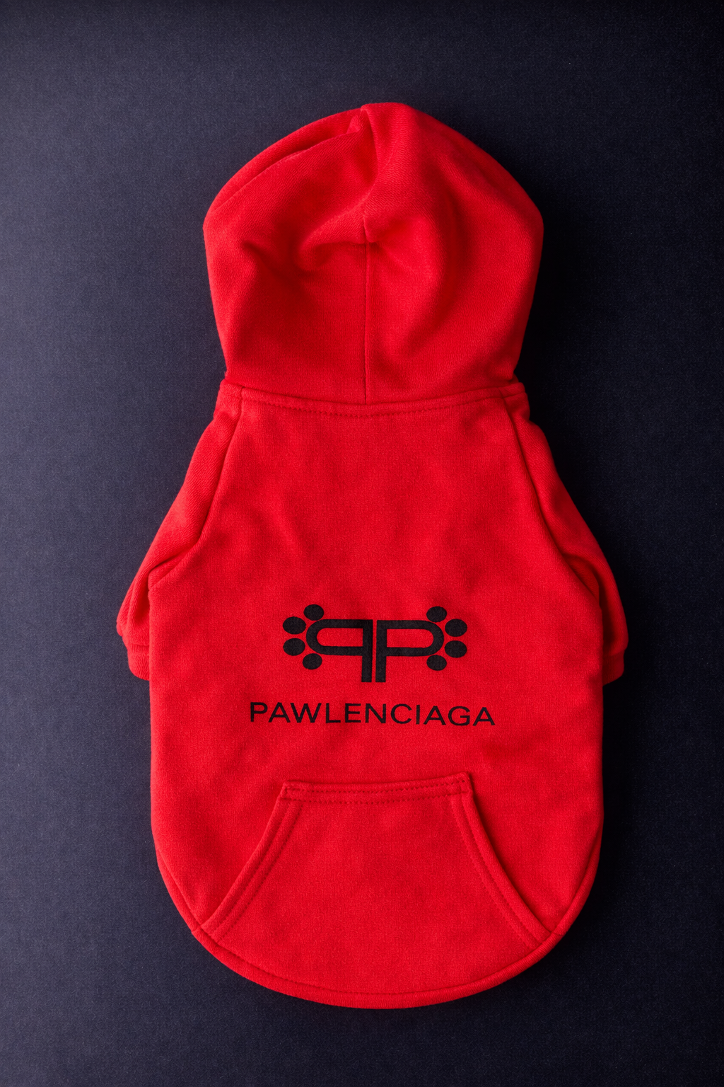 Pawlenciaga Hoodie-3