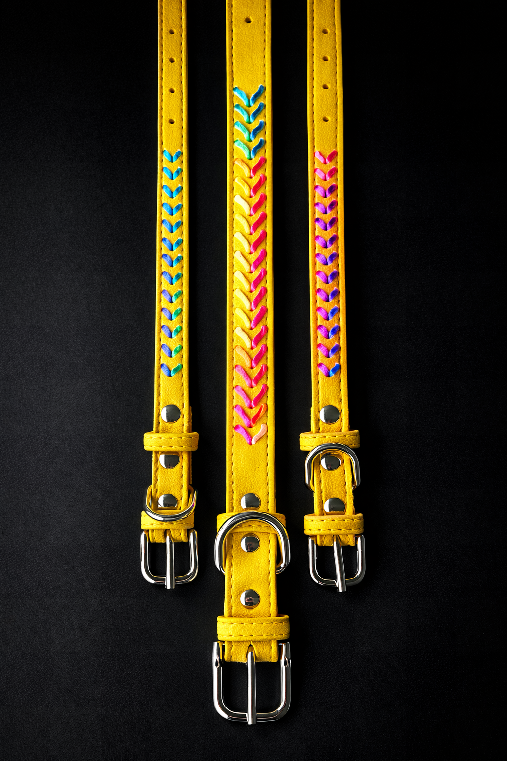 Elton Leash + Collar Set-5
