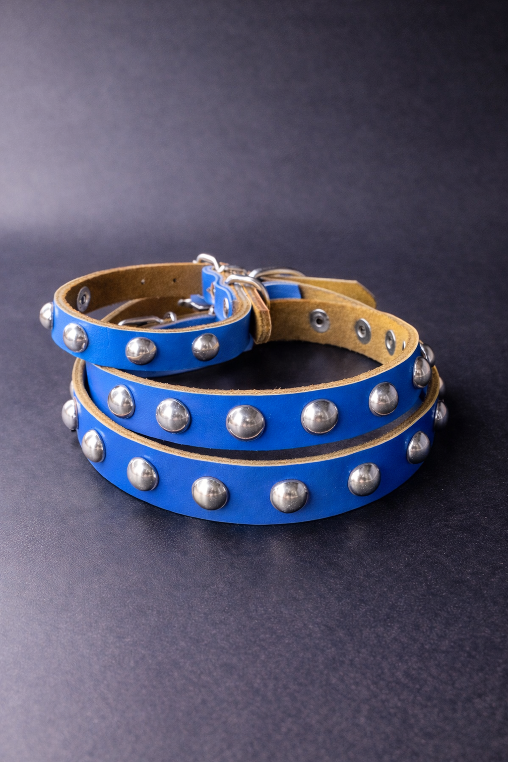 Hudson Collar-6