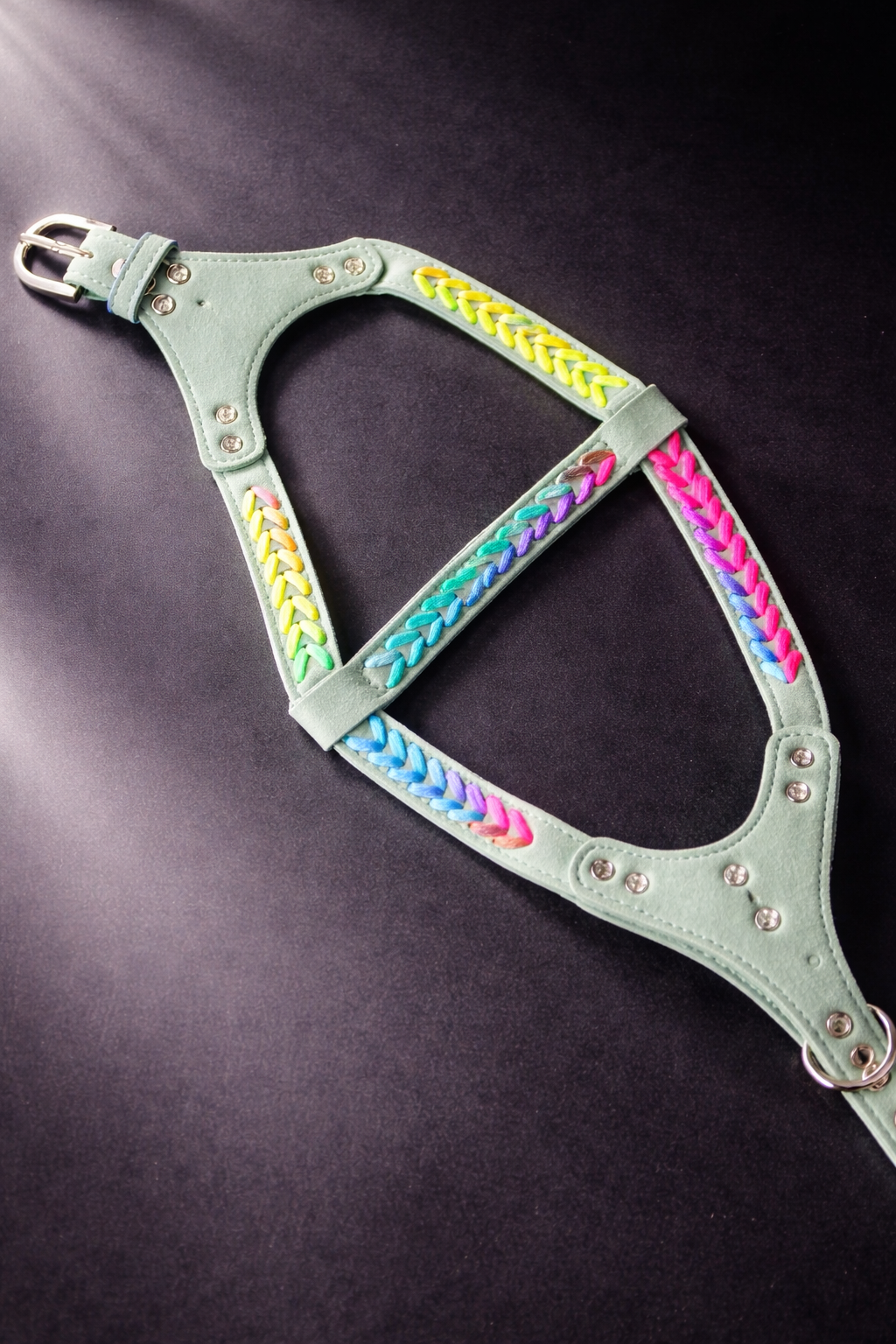 Elton Harness + Leash Set-3