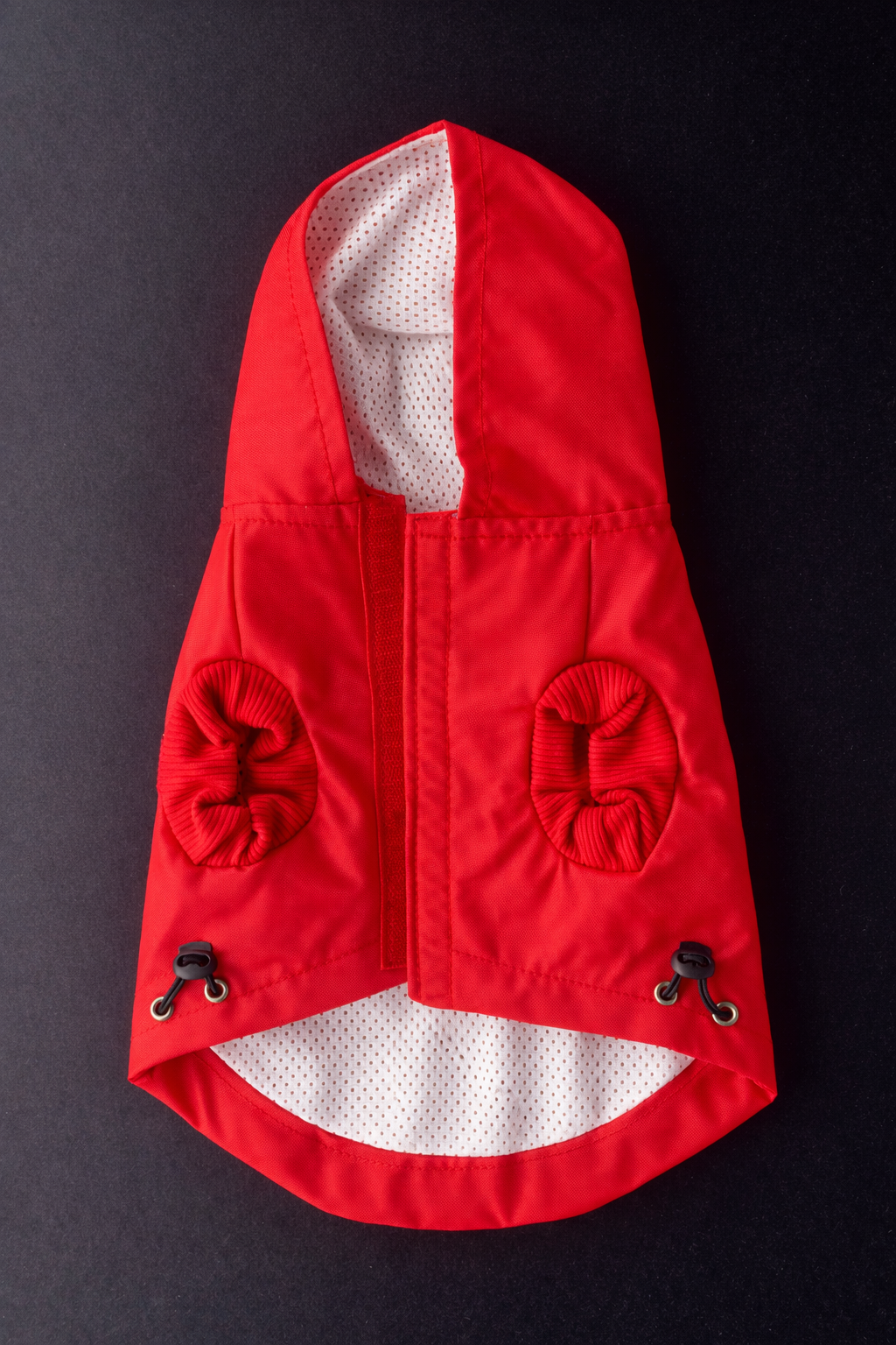 Pawlenciaga Rain Coat-3