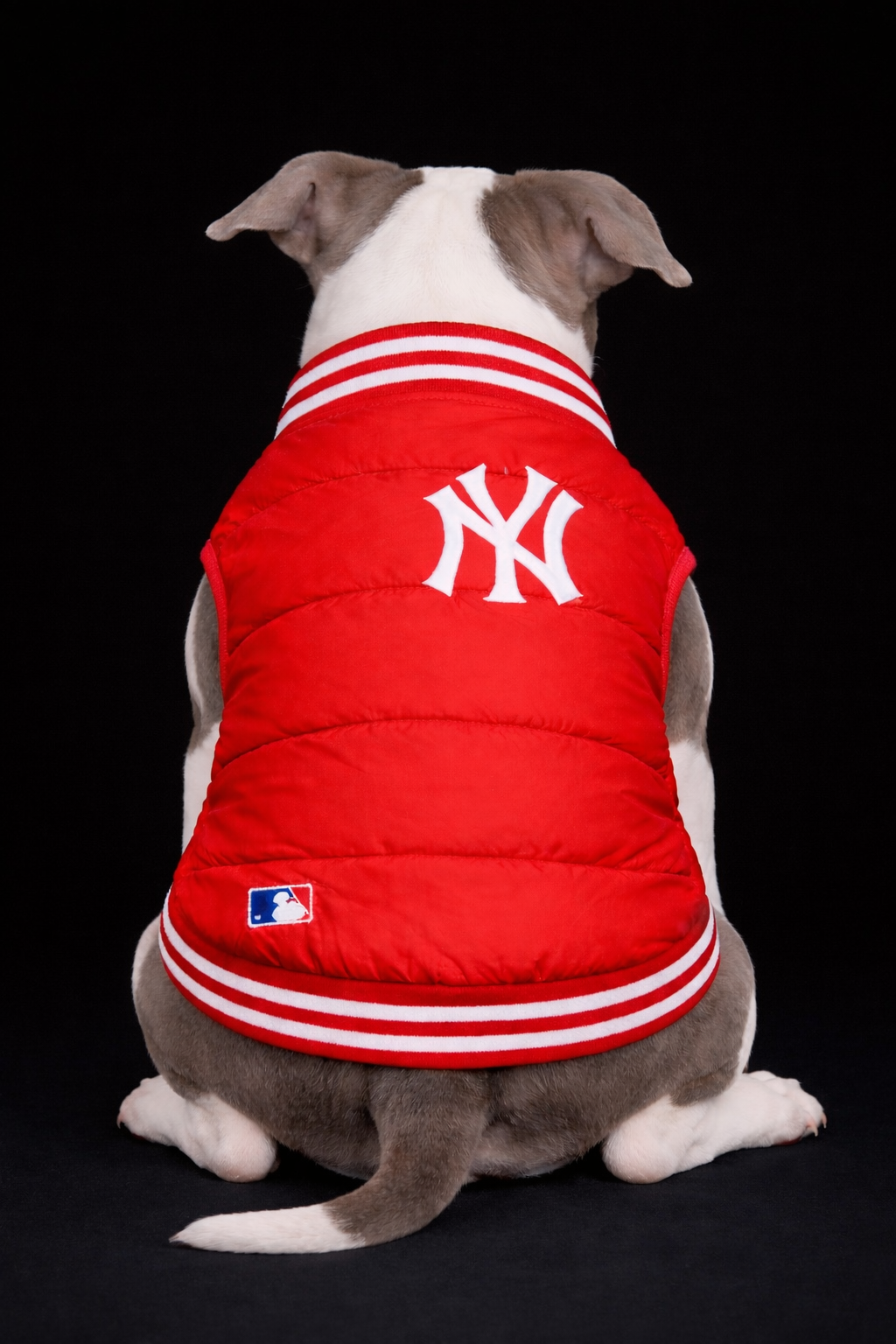 New York Yankees Puffer-3