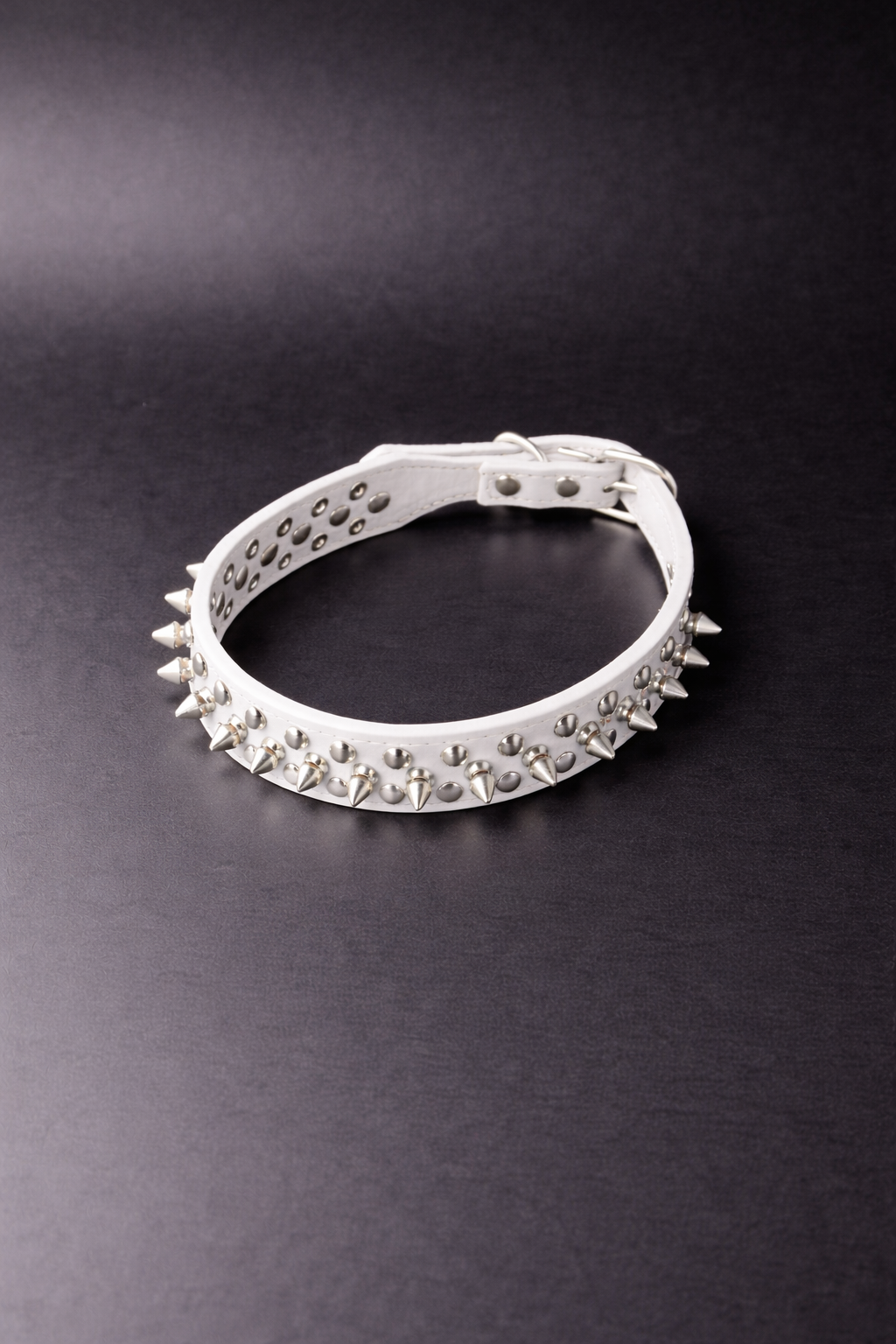 Madonna Collar (Silver)-3