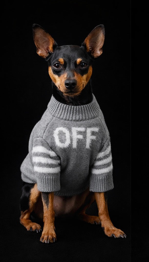 Milan - Gray Sweater