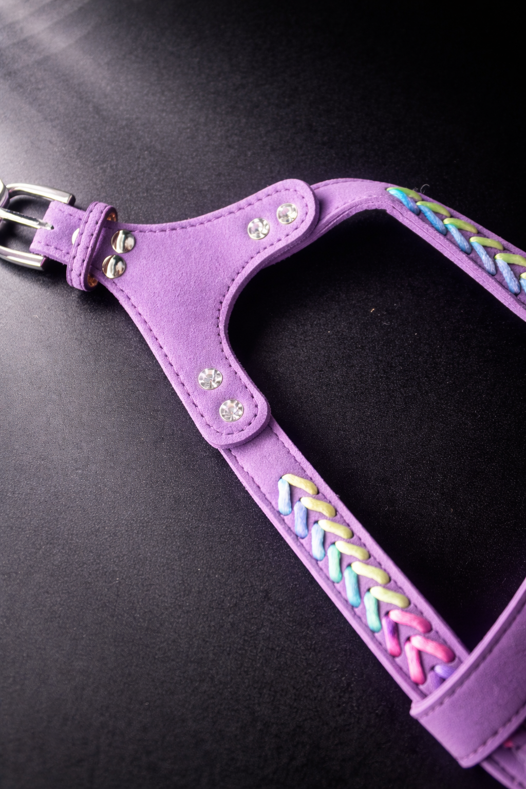 Elton Harness + Leash Set-5