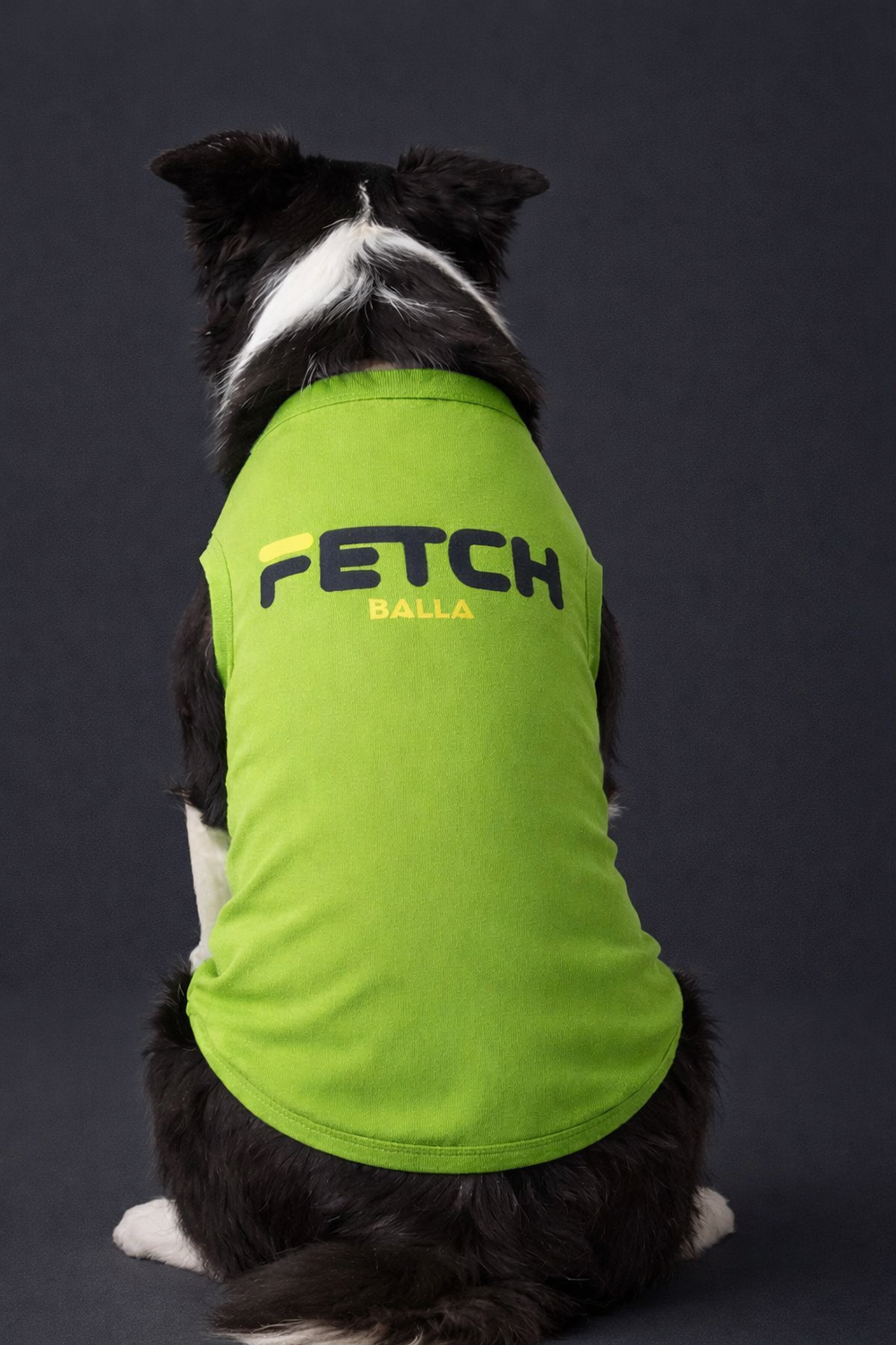 Fetch Tank Top