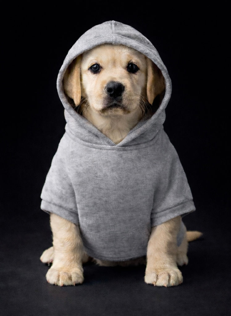 Chewy Vuitton Hoodie-2
