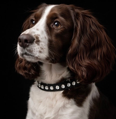 Hepburn Collar-3