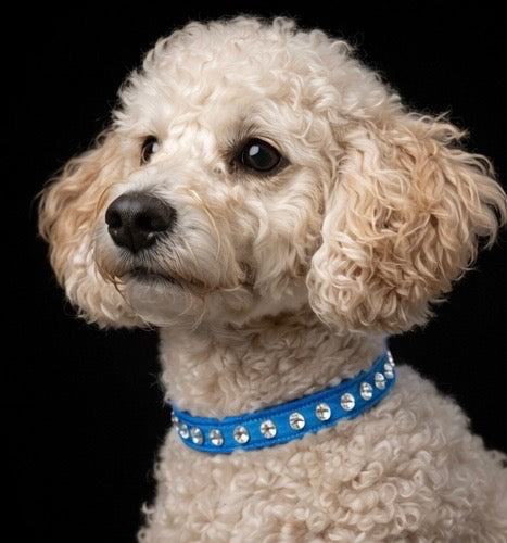 Hepburn Collar-4