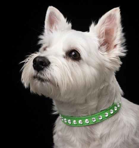 Hepburn Collar-5