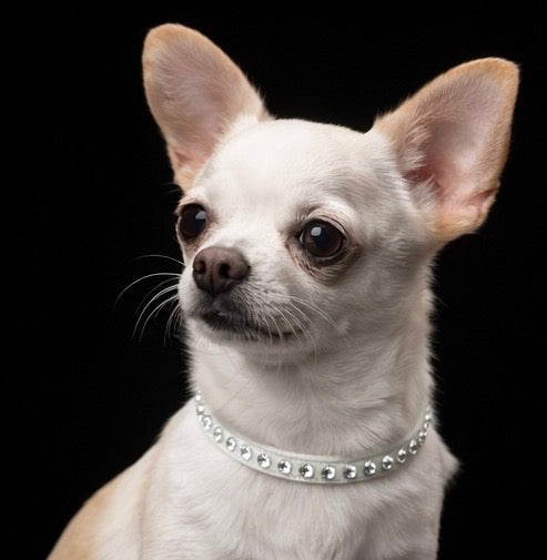 Hepburn Collar-8
