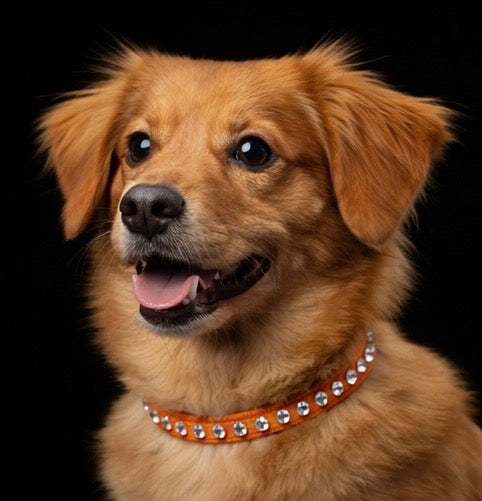 Hepburn Collar-6