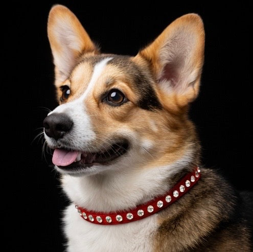 Hepburn Collar-7