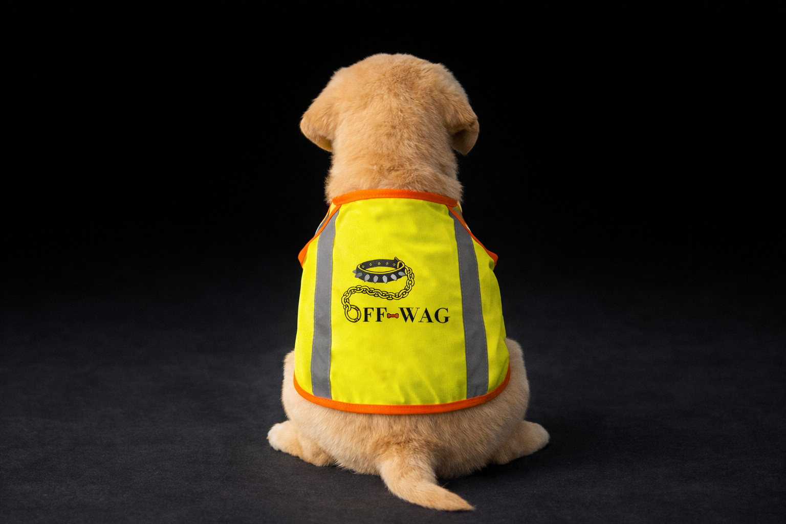 Off-Wag Neon Vest