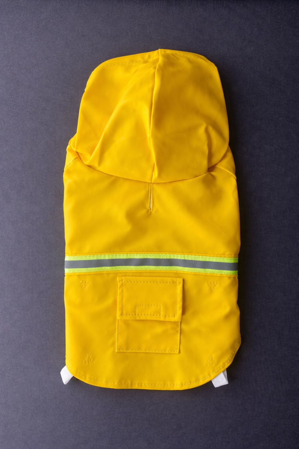 Lux Pup Raincoat-7