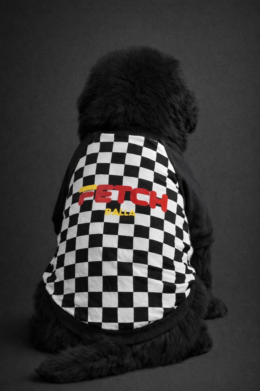 Fetch Checkered Shirt-5