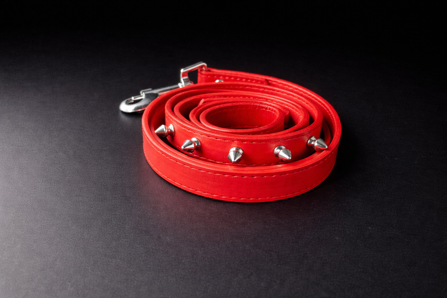 Eastwood Leash-2