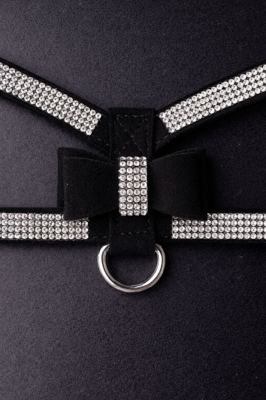 Hayworth Harness + Leash-6